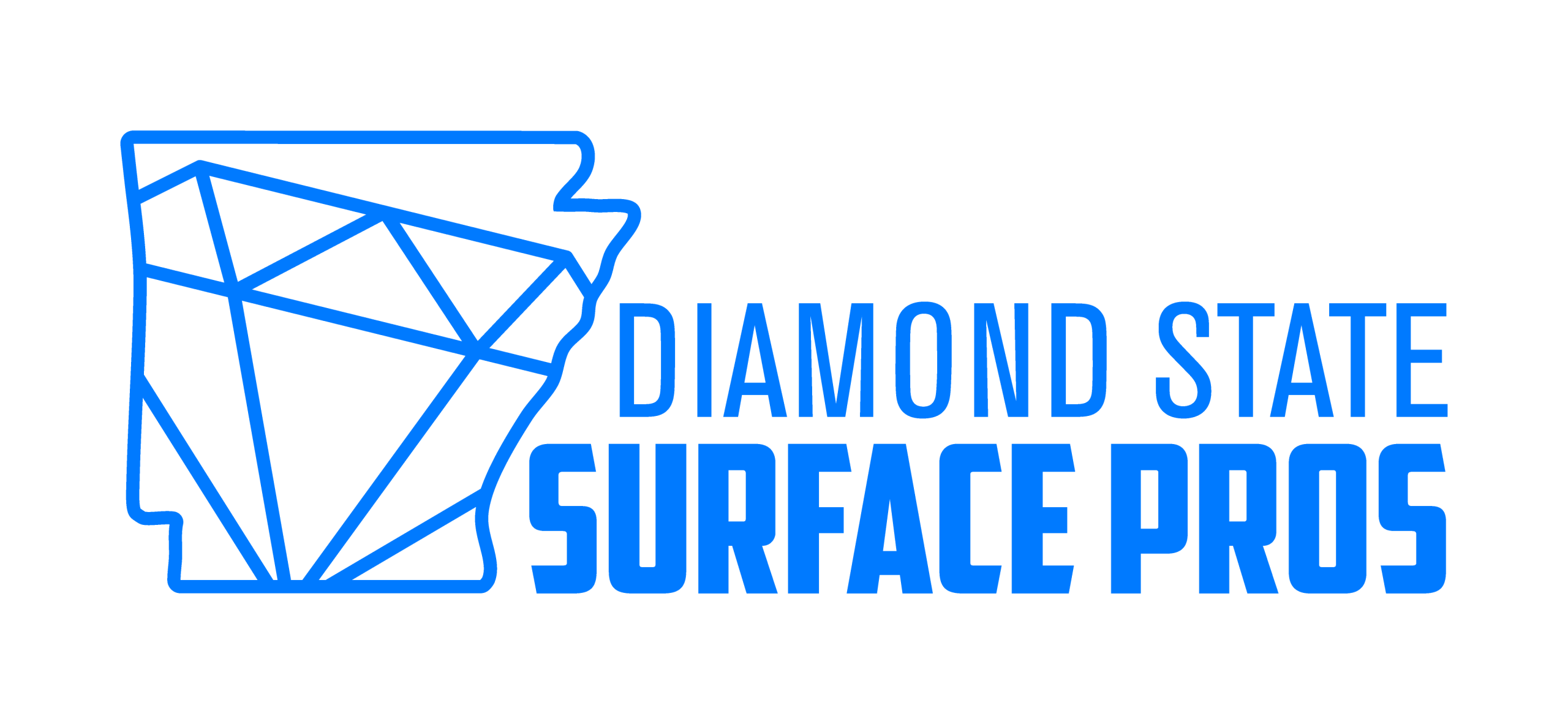 DSSP logo